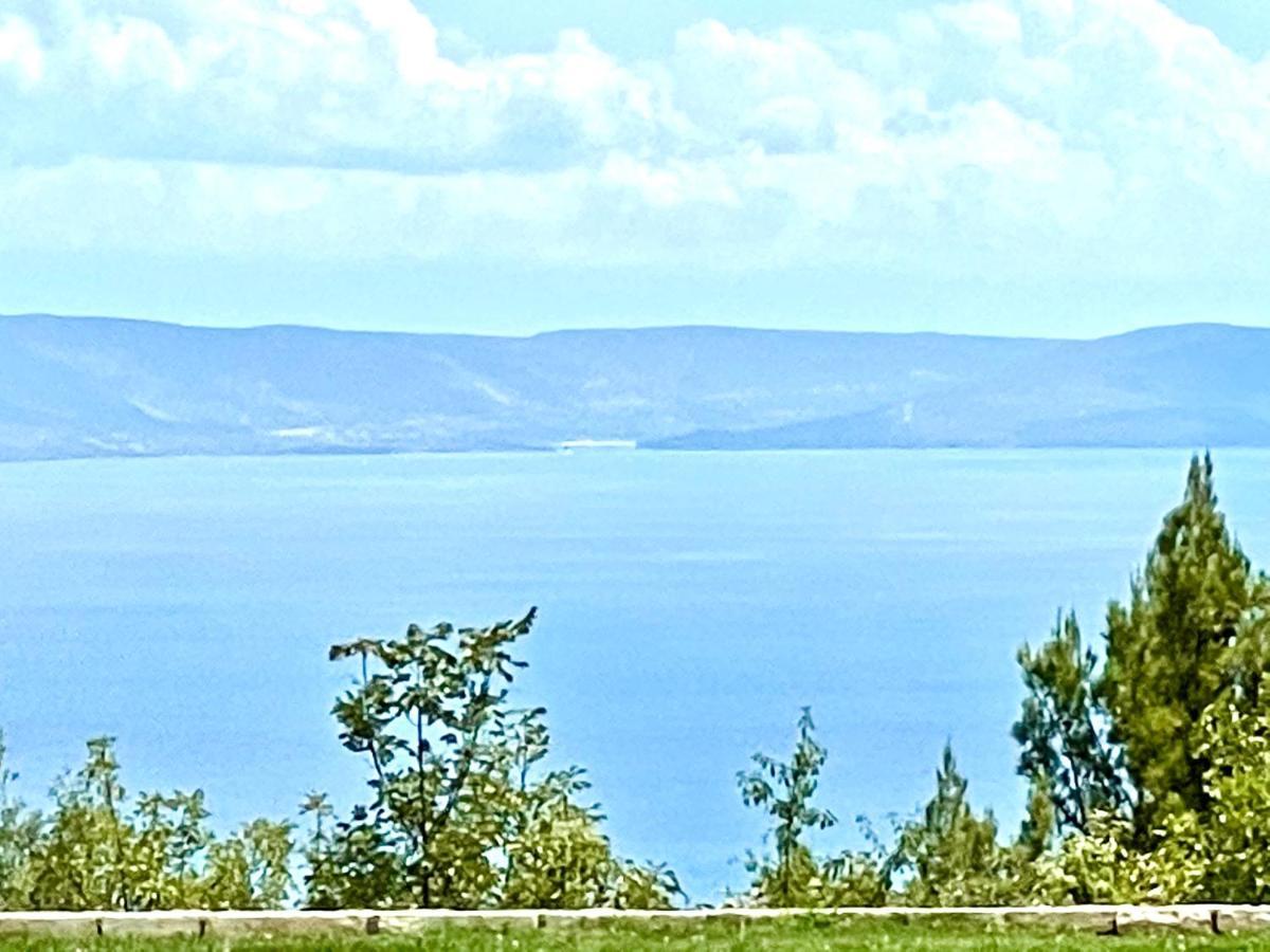 Luxury Panorama Vila With Amazing Seaview In Gondolici 7 Km From Rabac Лабин Екстериор снимка